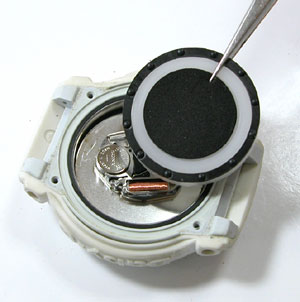 �J�V�I�r���v(CASIO)Baby-G/2351/BG-22�X�y�[�T�[