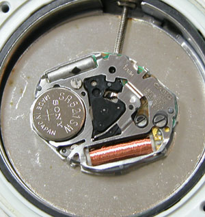 �J�V�I�r���v(CASIO)Baby-G/2351/BG-22���[�u�����g