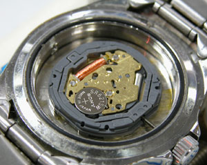 �J�V�I�r���v(CASIO)�u���[�_�C�o�[1346���[�u�����g