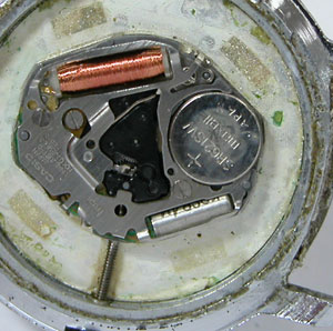 �J�V�I�r���v(CASIO)�X�^���_�[�h705���[�u�����g