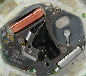 �J�V�I�r���v(CASIO)�X�^���_�[�h705���[�u�����g�g��