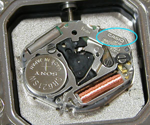 �J�V�I�r���v(CASIO)Baby-G/G-MS-700-2351���[�u�����g