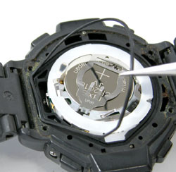 �J�V�I�r���v(CASIO)�v���g���b�N/1571�p�b�L������