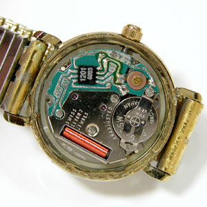 �J�V�I�r���vTraddy���f�B�X�E�N�H�[�c���[�u�����g