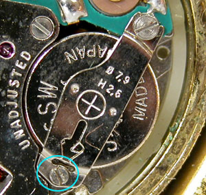 �J�V�I�r���vTraddy���f�B�X�E�N�H�[�c�d�r�g��