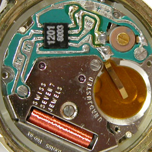 �J�V�I�r���vTraddy���f�B�X�E�N�H�[�c���[�u�����g�g��