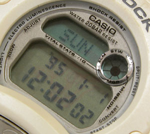 �J�V�I�r���v(CASIO)G-SHOCK/DW0098-1448�\���m�F