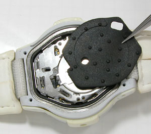 �J�V�I�r���v(CASIO)�f�W�^��/G-COOL-GT003-1699�X�y�[�T�[