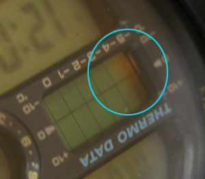 G-SHOCK/DW-6100/1424EL���C�g�_��