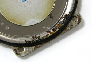 G-SHOCK/DW-6100/1424���W����