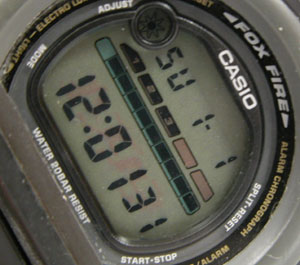 �J�V�I�r���v(CASIO)G-SHOCK/DW003-1597�\���m�F