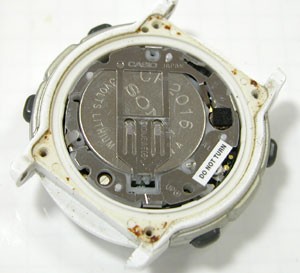 �J�V�I�r���v(CASIO)PRO TREK/PRL-10/1646���[�u�����g