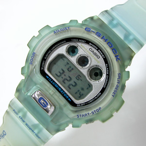 G-SHOCK/DW-6900WF/1289