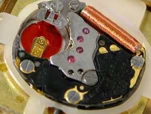 �V�`�Y���r���v(CITIZEN)�t�H���}2931���[�u�����g�g��