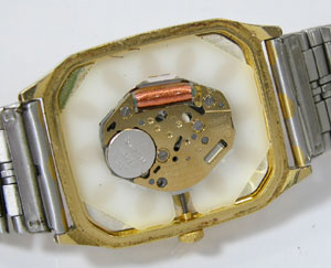 �V�`�Y���r���v(CITIZEN)FORMA6031���[�u�����g