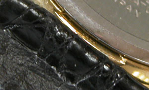 �V�`�Y���r���v(CITIZEN)Exceed4-798�����J����