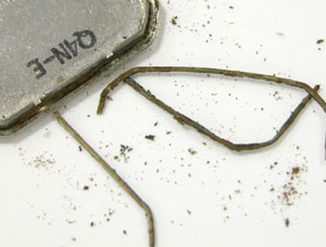 �Z�C�R�[�r���v(SEIKO)�V�����IChariot/6020-5280�p�b�L��