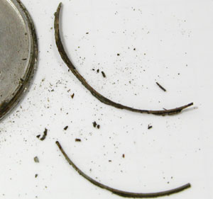 �Z�C�R�[�r���v(SEIKO)�V�[�K��6030-7060�p�b�L��2