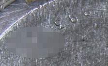 ALBA-Y563�ŗL�ԍ�