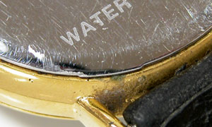 �G�݃E�H�b�`�r���vFossil7304�t�H�b�V���J����