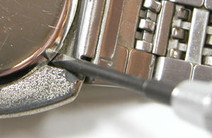 �G�݃E�H�b�`�r���vgiuliano-���f�B�X�J����