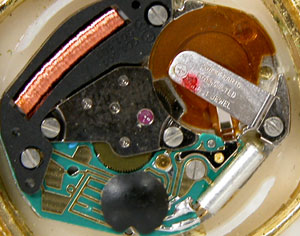 �G�݃E�H�b�`�r���vLUCIO ���f�B�X���[�u�����g�g��