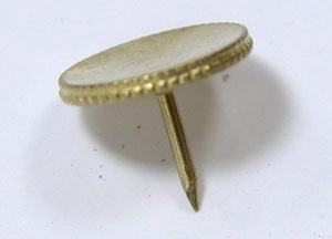 �r���v�x���g������e�Œ���