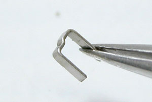 �r���v�x���g�����r�o���h�L�k���ꂪ�s��