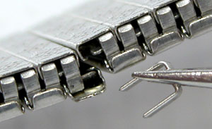 �r���v�x���g�����r�o���h�L�k����ȃs����