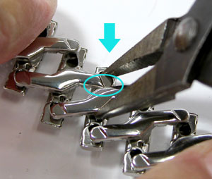 �r���v�x���g�����r�o���h�L�k���̗l��