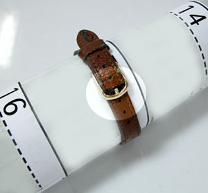 ���ʂ͂����I